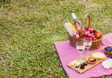 Aire de pique-nique plage de la Boirie N°2