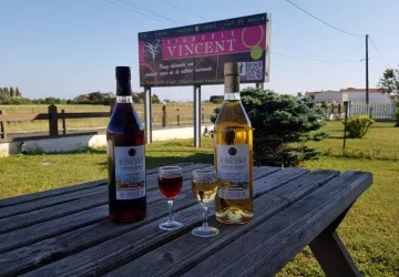 Vignoble Vincent