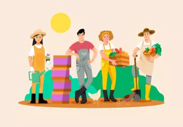 Vignoble Vincent_Saint-Pierre-d'Oléron