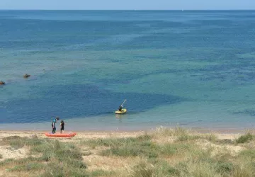 SARL Camping les Pins_Saint-Pierre-d'Oléron