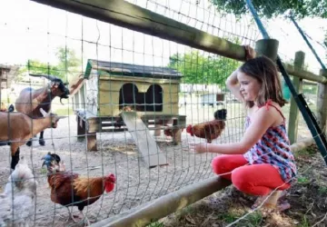 Camping Sandaya - Séquoia Parc