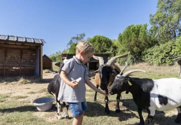 Camping Sandaya - Séquoia Parc