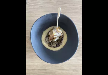 L'Albatros_Saint-Trojan-les-Bains