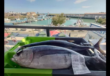 La Gaieté_Saint-Pierre-d'Oléron