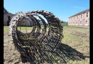 Découverte de l'oeuvre végétale et sonore "Réseaux connectés"_Marennes-Hiers-Brouage