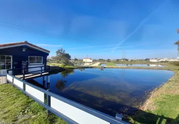 Huîtres Cocollos_Bourcefranc-le-Chapus