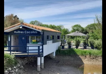 Huîtres Cocollos_Bourcefranc-le-Chapus
