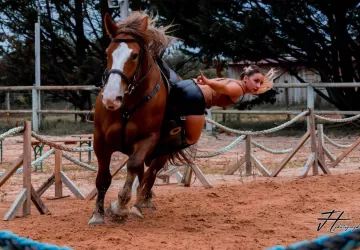 Les Écuries De Laguivari