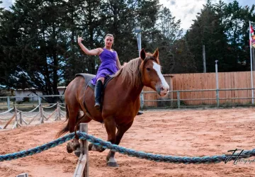 Les Écuries De Laguivari