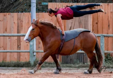 Les Écuries De Laguivari