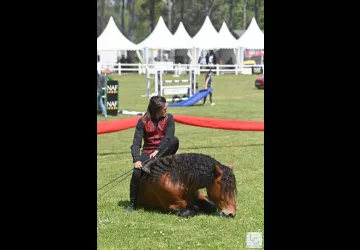 Les Écuries De Laguivari