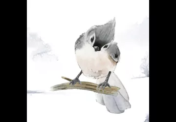 Atelier Créa « Initiation à l’aquarelle » avec Merveille en Soi_Saint-Denis-d'Oléron