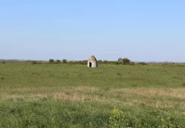 Saloche Nieulle-sur-Seudre