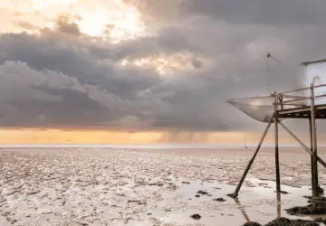 Exposition d'art : Regards sur la Charente-Maritime_Marennes-Hiers-Brouage