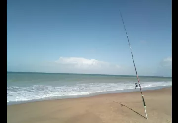 Maison de Charme à Sauzelle