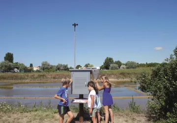 Atelier 7-12 ans "La météo du sel" au Port des Salines