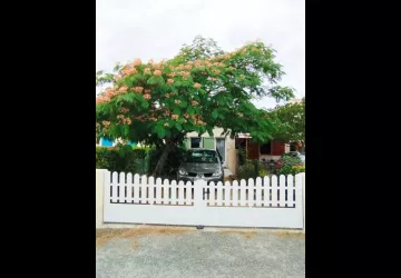 Portail avant - Entrée