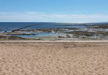 La critique maison verte