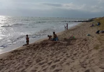 La critique maison verte