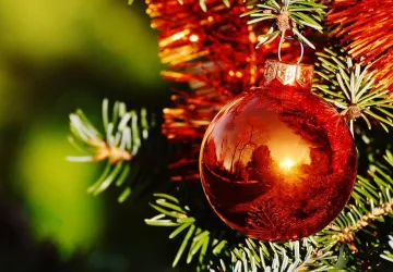 Réveillon de la Saint Sylvestre  à Nieulle sur Seudre_Nieulle-sur-Seudre