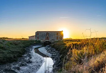 Nuit des Etoiles - Moulin des Loges
