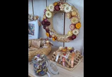 Cabane n°12  - Cabane de Créateurs - Lézards au bord de l'O_Dolus-d'Oléron