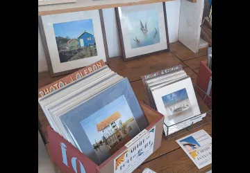 Cabane n°12  - Cabane de Créateurs - Lézards au bord de l'O_Dolus-d'Oléron