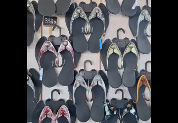 Cabane n°12  - Cabane de Créateurs - Lézards au bord de l'O_Dolus-d'Oléron