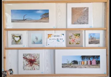 Cabane n°12  - Cabane de Créateurs - Lézards au bord de l'O_Dolus-d'Oléron