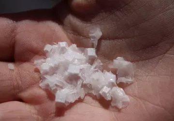 Visite multi-sensorielle au Port des Salines