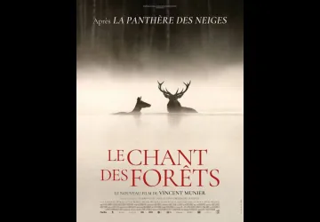 Cinéma ""Le chant des forêts"_Saint-Denis-d'Oléron