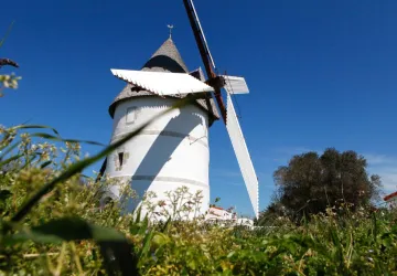 Moulin de La Brée