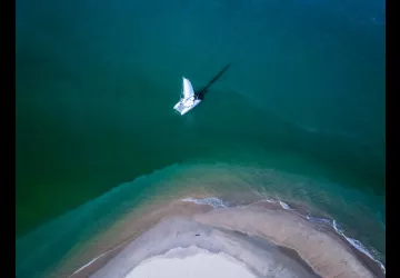 Canopée Voile -Balades en catamaran_Saint-Trojan-les-Bains