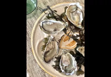 La Kbane dégustation