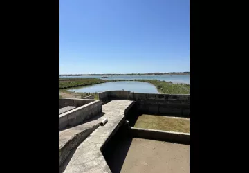 Les Frangins_Marennes-Hiers-Brouage