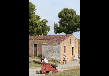 "À pas feutrés " - Emma Schnellbach_Marennes-Hiers-Brouage