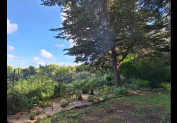 Les jardins de l'âme cham