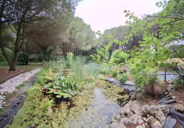 Les jardins de l'âme cham