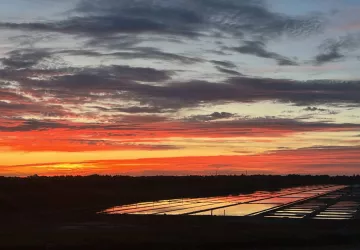 Planète Trott - Balades découverte