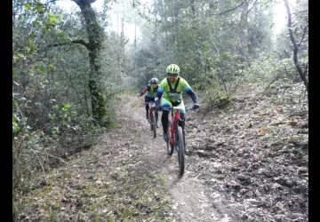 Randonnée des Mimosas