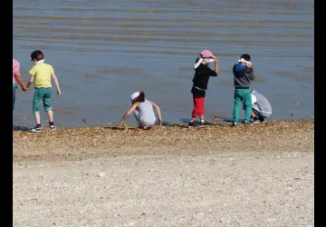 Printemps des réserves naturelles, rendez-vous à Moëze-Oléron_Saint-Froult