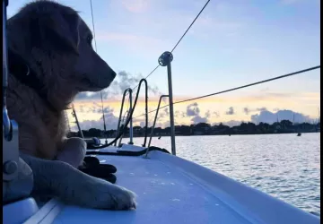 Skip & sea_Saint-Denis-d'Oléron