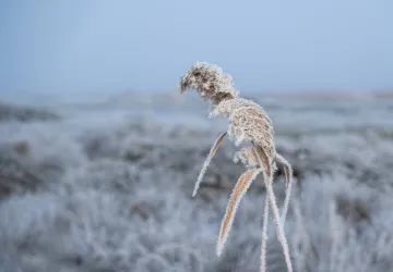 Exposition de photographie