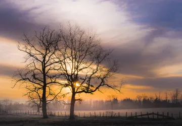 Exposition de photographie