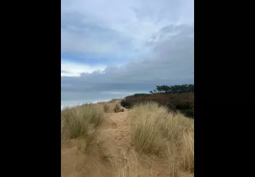 Randonnée entre mer & forêt