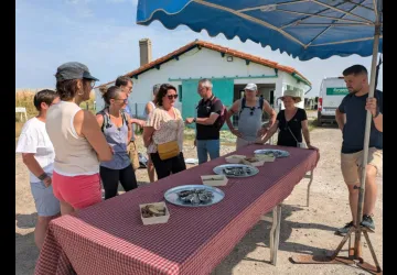 Balade gourmande à Brouage_Marennes-Hiers-Brouage