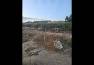 Aire de pique nique plage de Chaucre_Saint-Georges-d'Oléron