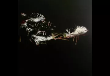 Exposition de peinture Véronique Bourgeois Noury_Saint-Trojan-les-Bains