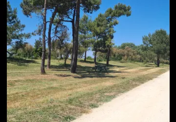 Aire de pique nique - Route du Douhet