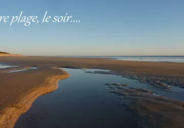 Ayrault Michel_Dolus-d'Oléron